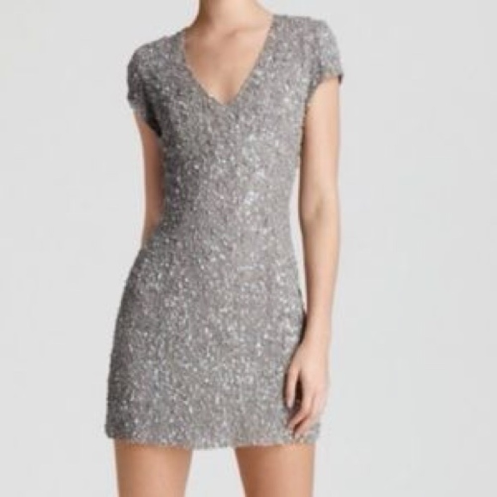 Parker XS Elegant Silver Sequin Dress